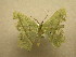  ( - 09-CRBS-402)  @13 [ ] Unspecified (default): All Rights Reserved  Unspecified Unspecified