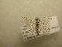  ( - 09-CRBS-415)  @12 [ ] Unspecified (default): All Rights Reserved  Unspecified Unspecified