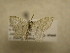  ( - 09-CRBS-416)  @13 [ ] Unspecified (default): All Rights Reserved  Unspecified Unspecified