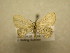  ( - 09-CRBS-424)  @13 [ ] Unspecified (default): All Rights Reserved  Unspecified Unspecified