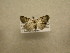  ( - 09-CRBS-477)  @12 [ ] Unspecified (default): All Rights Reserved  Unspecified Unspecified