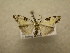  ( - 09-CRBS-480)  @12 [ ] Unspecified (default): All Rights Reserved  Unspecified Unspecified