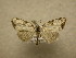  ( - 09-CRBS-484)  @12 [ ] Unspecified (default): All Rights Reserved  Unspecified Unspecified