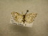  ( - 09-CRBS-502)  @13 [ ] Unspecified (default): All Rights Reserved  Unspecified Unspecified