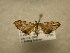  ( - 09-CRBS-565)  @12 [ ] Unspecified (default): All Rights Reserved  Unspecified Unspecified