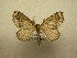  ( - 09-CRBS-584)  @13 [ ] Unspecified (default): All Rights Reserved  Unspecified Unspecified