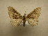  ( - 09-CRBS-587)  @13 [ ] Unspecified (default): All Rights Reserved  Unspecified Unspecified
