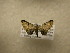  ( - 09-CRBS-590)  @12 [ ] Unspecified (default): All Rights Reserved  Unspecified Unspecified