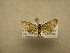  ( - 09-CRBS-618)  @11 [ ] Unspecified (default): All Rights Reserved  Unspecified Unspecified