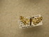 (Eupithecia Sullivan2536 - 09-CRBS-620)  @12 [ ] Unspecified (default): All Rights Reserved  Unspecified Unspecified