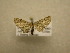 ( - 09-CRBS-622)  @12 [ ] Unspecified (default): All Rights Reserved  Unspecified Unspecified
