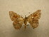  ( - 09-CRBS-672)  @13 [ ] Unspecified (default): All Rights Reserved  Unspecified Unspecified