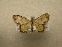  ( - 09-CRBS-684)  @12 [ ] Unspecified (default): All Rights Reserved  Unspecified Unspecified
