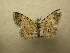  ( - 09-CRBS-690)  @13 [ ] Unspecified (default): All Rights Reserved  Unspecified Unspecified