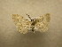  ( - 09-CRBS-693)  @13 [ ] Unspecified (default): All Rights Reserved  Unspecified Unspecified
