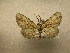  ( - 09-CRBS-694)  @13 [ ] Unspecified (default): All Rights Reserved  Unspecified Unspecified