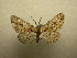  ( - 09-CRBS-696)  @13 [ ] Unspecified (default): All Rights Reserved  Unspecified Unspecified