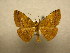  ( - 09-CRBS-702)  @14 [ ] Unspecified (default): All Rights Reserved  Unspecified Unspecified