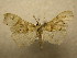  ( - 09-CRBS-705)  @13 [ ] Unspecified (default): All Rights Reserved  Unspecified Unspecified
