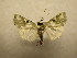  ( - 09-CRBS-713)  @14 [ ] Unspecified (default): All Rights Reserved  Unspecified Unspecified