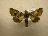  ( - 09-CRBS-714)  @12 [ ] Unspecified (default): All Rights Reserved  Unspecified Unspecified