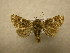  (Pastona BioLep739 - 09-CRBS-715)  @14 [ ] Unspecified (default): All Rights Reserved  Unspecified Unspecified