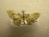  ( - 09-CRBS-726)  @12 [ ] Unspecified (default): All Rights Reserved  Unspecified Unspecified