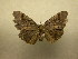  ( - 09-CRBS-737)  @13 [ ] Unspecified (default): All Rights Reserved  Unspecified Unspecified