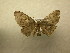 ( - 09-CRBS-739)  @13 [ ] Unspecified (default): All Rights Reserved  Unspecified Unspecified