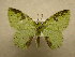  ( - 09-CRBS-768)  @13 [ ] Unspecified (default): All Rights Reserved  Unspecified Unspecified