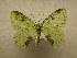  ( - 09-CRBS-769)  @13 [ ] Unspecified (default): All Rights Reserved  Unspecified Unspecified