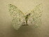  ( - 09-CRBS-772)  @14 [ ] Unspecified (default): All Rights Reserved  Unspecified Unspecified