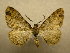  (Tesiophora - 09-CRBS-778)  @14 [ ] Unspecified (default): All Rights Reserved  Unspecified Unspecified