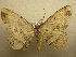  ( - 09-CRBS-791)  @13 [ ] Unspecified (default): All Rights Reserved  Unspecified Unspecified
