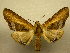  ( - 09-CRBS-823)  @13 [ ] Unspecified (default): All Rights Reserved  Unspecified Unspecified