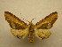  ( - 09-CRBS-825)  @12 [ ] Unspecified (default): All Rights Reserved  Unspecified Unspecified