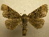  ( - 09-CRBS-831)  @11 [ ] Unspecified (default): All Rights Reserved  Unspecified Unspecified