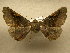  ( - 09-CRBS-839)  @13 [ ] Unspecified (default): All Rights Reserved  Unspecified Unspecified