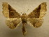  ( - 09-CRBS-846)  @14 [ ] Unspecified (default): All Rights Reserved  Unspecified Unspecified