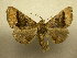  ( - 09-CRBS-852)  @13 [ ] Unspecified (default): All Rights Reserved  Unspecified Unspecified