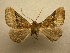  ( - 09-CRBS-856)  @13 [ ] Unspecified (default): All Rights Reserved  Unspecified Unspecified