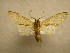  ( - 09-CRBS-881)  @12 [ ] Unspecified (default): All Rights Reserved  Unspecified Unspecified