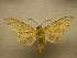  ( - 09-CRBS-893)  @14 [ ] Unspecified (default): All Rights Reserved  Unspecified Unspecified