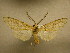  ( - 09-CRBS-901)  @13 [ ] Unspecified (default): All Rights Reserved  Unspecified Unspecified