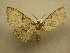  ( - 09-CRBS-917)  @12 [ ] Unspecified (default): All Rights Reserved  Unspecified Unspecified