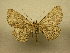  (Ergavia Sullivan2083 - 09-CRBS-918)  @13 [ ] Unspecified (default): All Rights Reserved  Unspecified Unspecified
