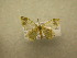  ( - 09-CRBS-940)  @12 [ ] Unspecified (default): All Rights Reserved  Unspecified Unspecified