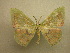  (Rhodochlora sp. CR1 - 10-CRBS-001)  @11 [ ] Unspecified (default): All Rights Reserved  Unspecified Unspecified