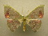  ( - 10-CRBS-003)  @14 [ ] Unspecified (default): All Rights Reserved  Unspecified Unspecified