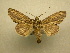  ( - 10-CRBS-012)  @13 [ ] Unspecified (default): All Rights Reserved  Unspecified Unspecified